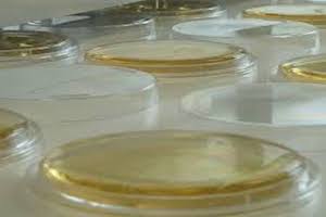 Immagine dermatologia diagnostica Dott.ssa Beatrice Pietricola